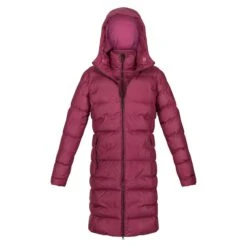 Regatta Womens/Ladies Pandia II Hooded Jacket (Amaranth Haze)